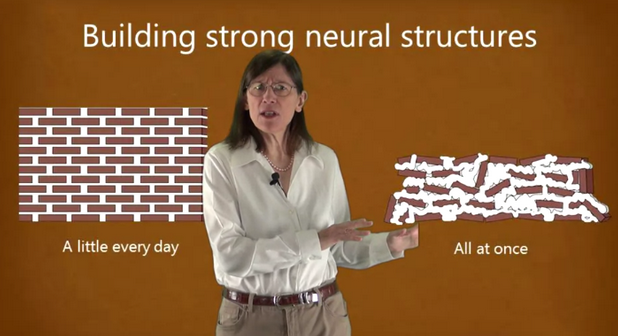 neural-structure.png